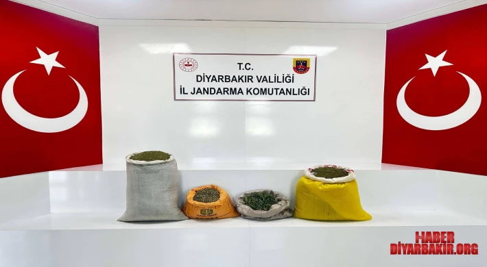 Diyarbakır’da 144 Kilo Esrar Ele Geçirildi