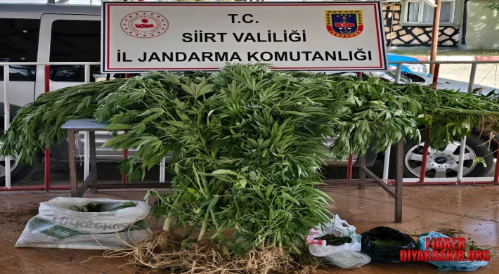 Siirt’te Uyuşturucu Operasyonu