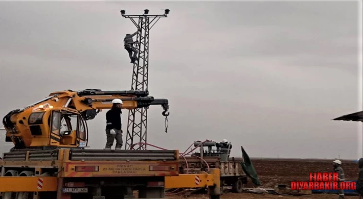 Kış Ortasında Kaçak Elektrikle Buğday Tarlası Suladılar