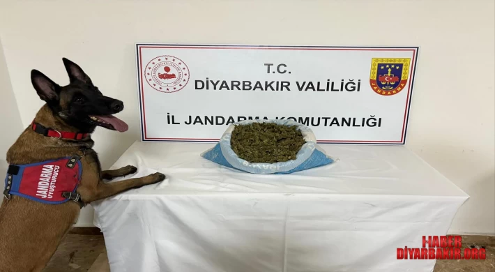 Uyuşturucu Operasyonu 14 Kişi Gözaltına Alındı