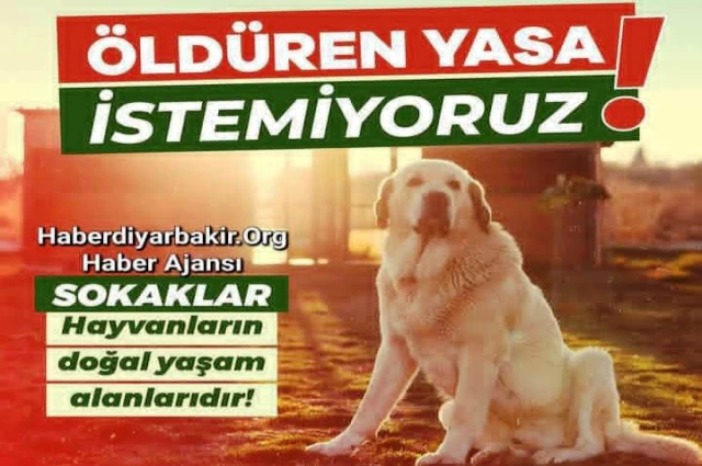 Dokunmayın Diyoruz Ammaaaa!!!