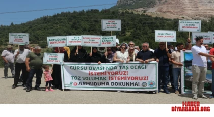 Bursalılar Gürsu Ovasında Taş Ocağı İstemiyor