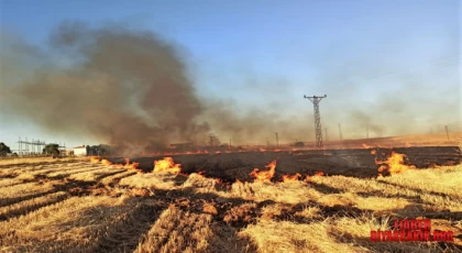 Dicle Elektrik Şanlıurfa’da 16 Mahalle Elektriksiz Kaldı