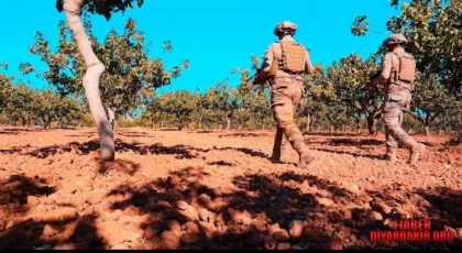 Siirt'te Fıstık Hırsızlığına Karşı Jandarma Alarmda