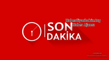 Narin Güran Davasında Karar Açıklandı