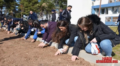 Tarımın Geleceği Akıllı Çözümlerle Şekilleniyor