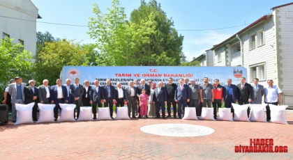 27 Ton Çeltik Tohumu Dağıtıldı