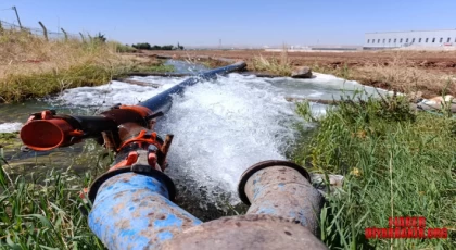 Bilim İnsanları Uyarıyor