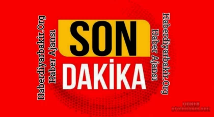 Bu Vahşeti Durdurun