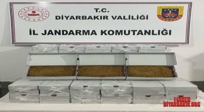 Dev Kaçakçılık Operasyonu