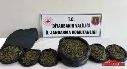 Diyarbakır”da 38 Kilo Esrar Ele Geçirildi