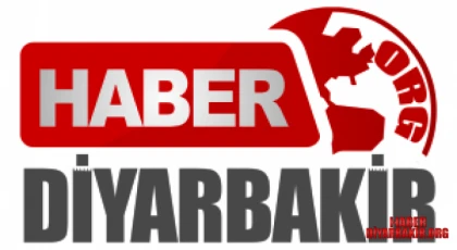 Ergani'de Dehşet Verici İddia!