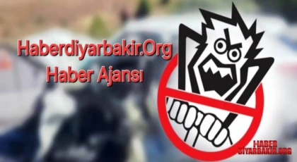 Diyarbakır Emniyetinden Trafik Dedektifleri Eğitim Projesi