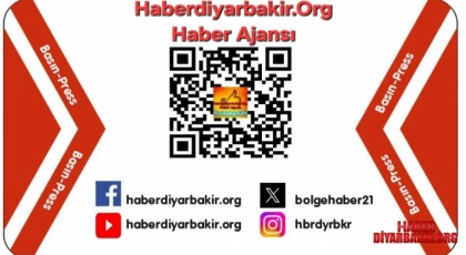 Kaçak Yaban Hayvanı Operasyonu 8 Adet Jako Papağan Ele Geçirildi