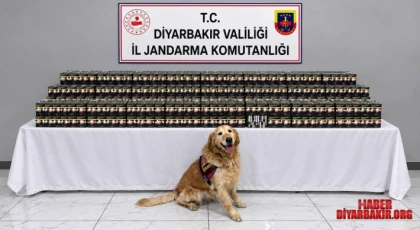 Kaçakçılık Operasyonlarında 29 Şüpheli Hakkında İşlem Yapıldığı Açıklandı